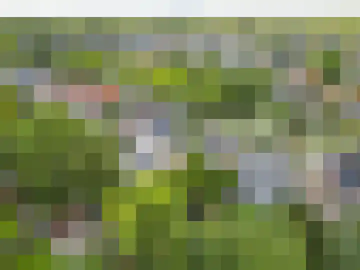 Sportterreinstraat 10 Wildervank thumbnail 26