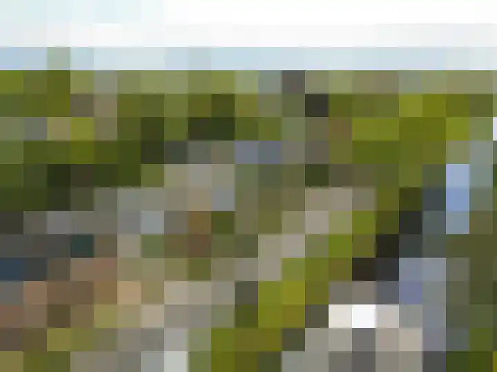 Sportterreinstraat 10 Wildervank thumbnail 27