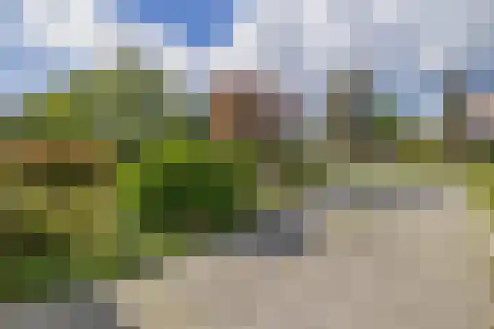 Sportterreinstraat 10 Wildervank thumbnail 30