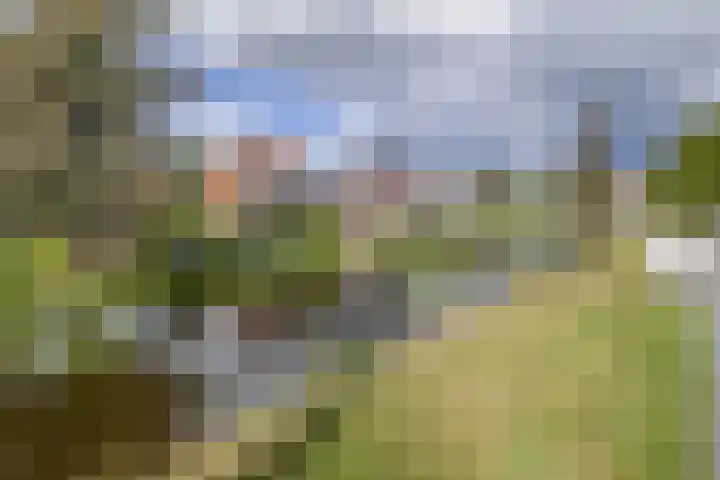 Sportterreinstraat 10 Wildervank thumbnail 31