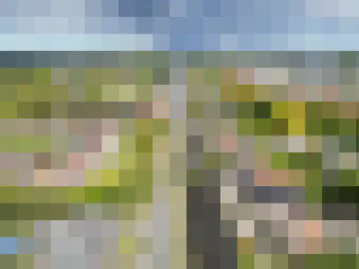 Sportterreinstraat 10 Wildervank thumbnail 32