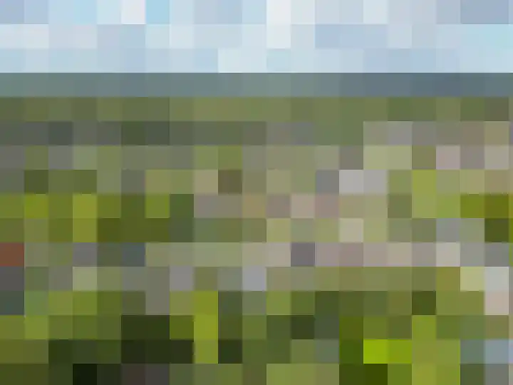 Sportterreinstraat 10 Wildervank thumbnail 33