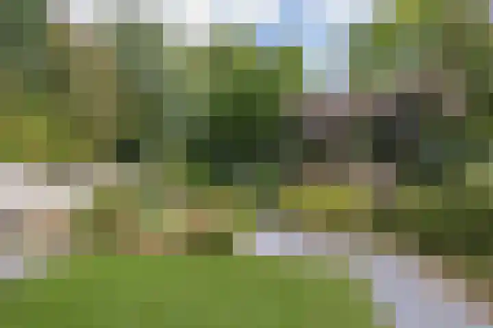 Sportterreinstraat 10 Wildervank thumbnail 5