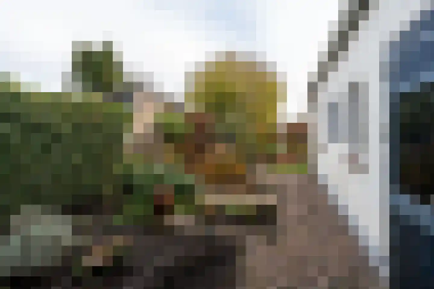 Sportterreinstraat 104 Wildervank thumbnail 28