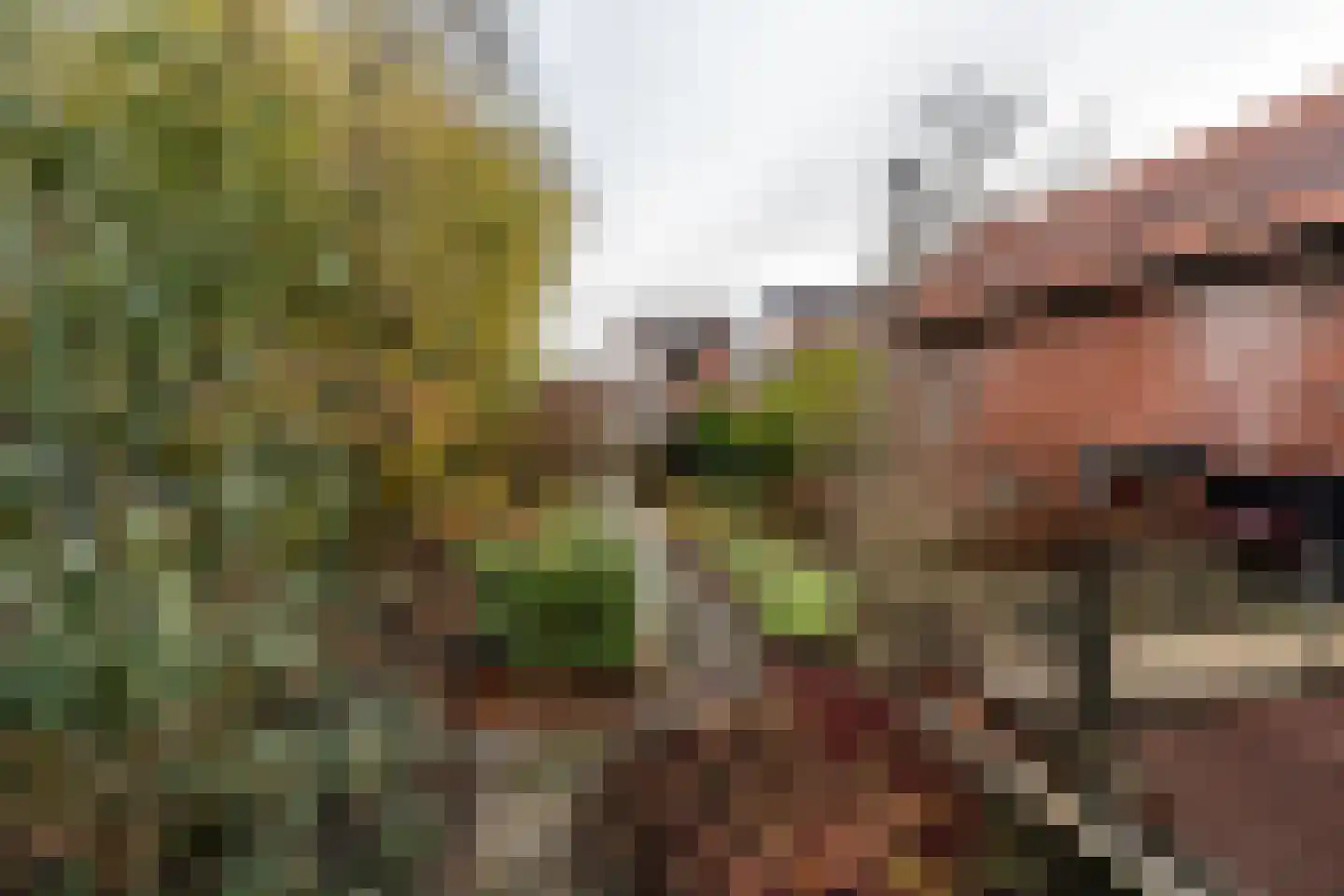Sportterreinstraat 104 Wildervank thumbnail 30