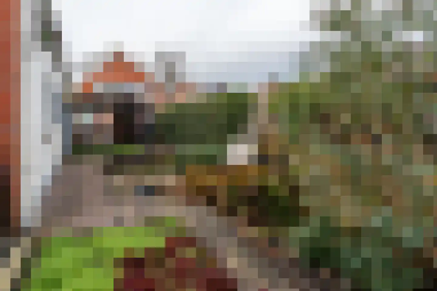 Sportterreinstraat 104 Wildervank thumbnail 31
