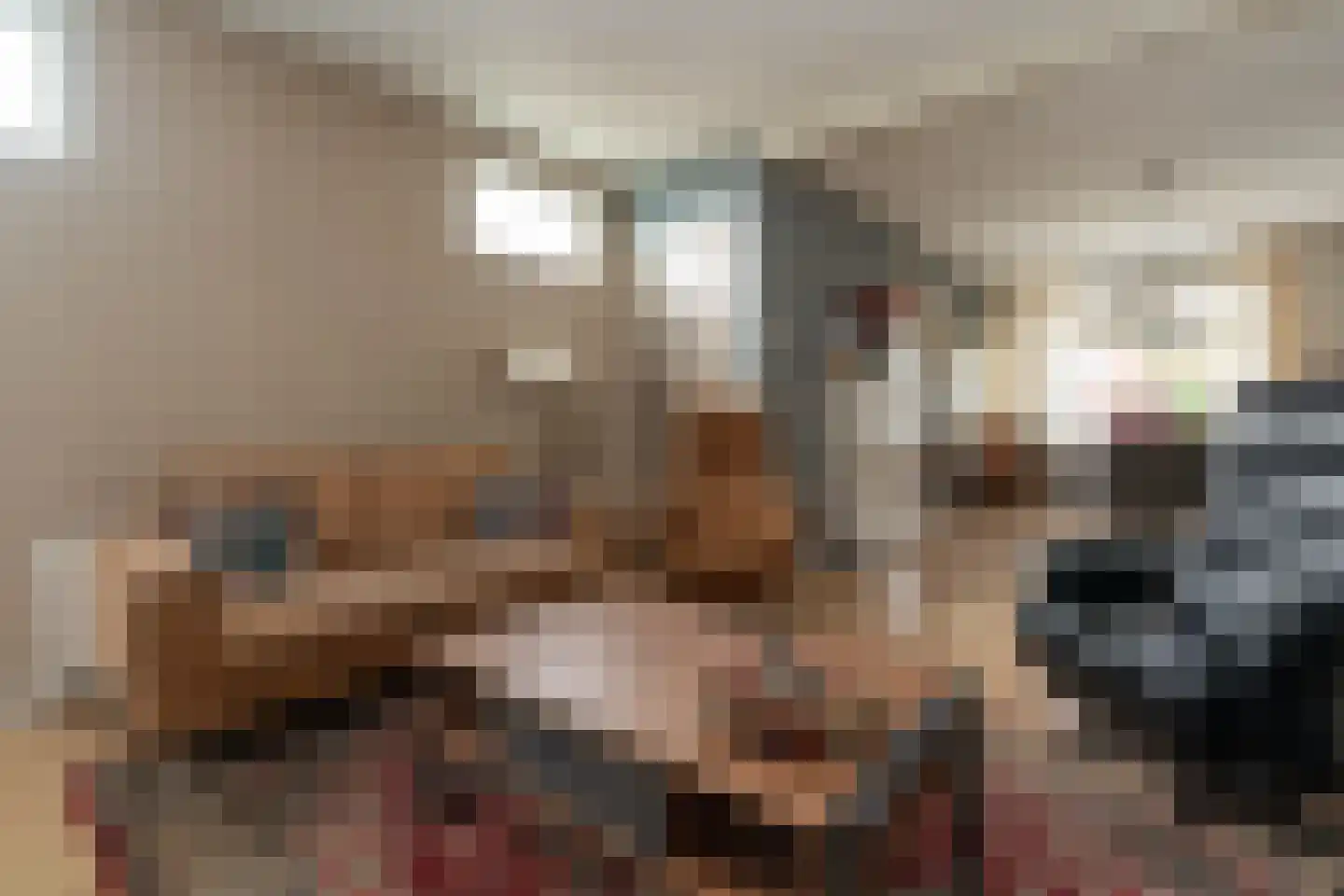 Sportterreinstraat 104 Wildervank thumbnail 8