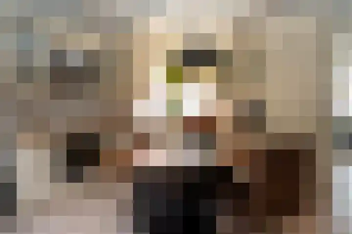 Sportterreinstraat 25 Wildervank thumbnail 10