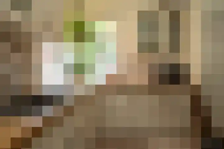 Sportterreinstraat 25 Wildervank thumbnail 12