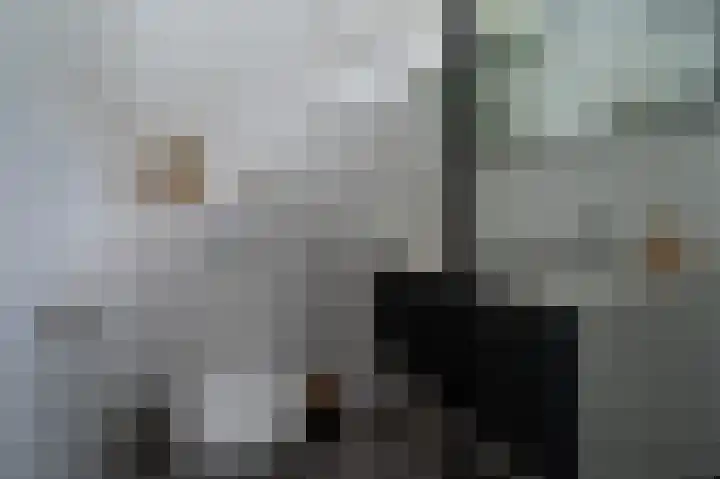 Sportterreinstraat 25 Wildervank thumbnail 18