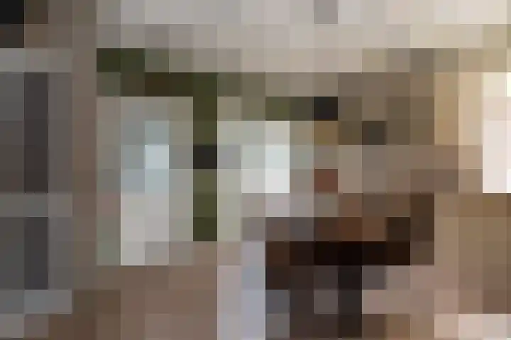 Sportterreinstraat 25 Wildervank thumbnail 20