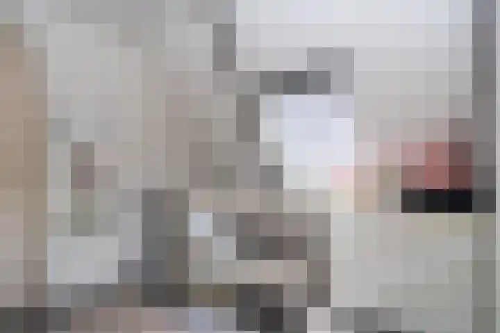 Sportterreinstraat 25 Wildervank thumbnail 25
