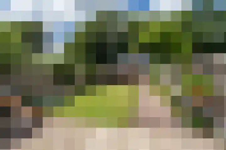 Sportterreinstraat 25 Wildervank thumbnail 31