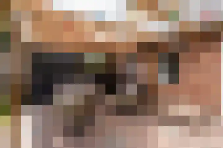 Sportterreinstraat 25 Wildervank thumbnail 33