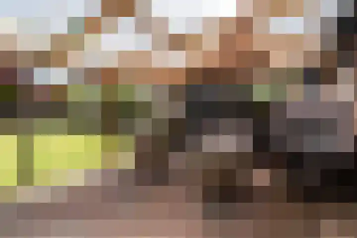 Sportterreinstraat 25 Wildervank thumbnail 34