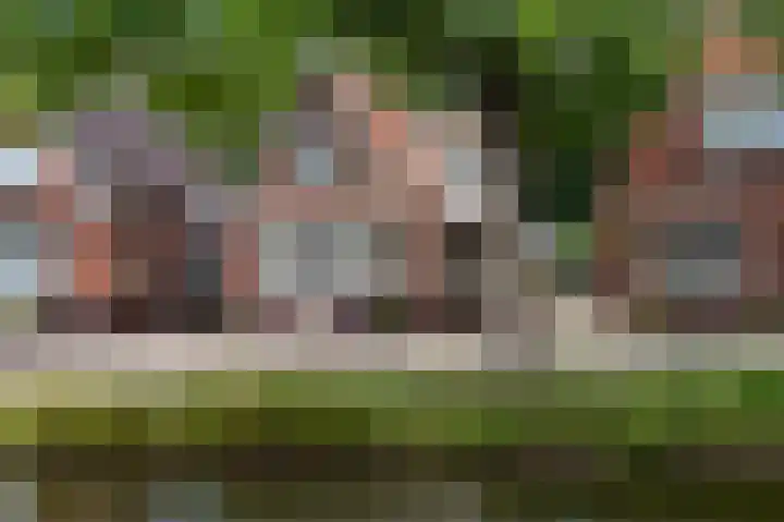 Sportterreinstraat 25 Wildervank thumbnail 39
