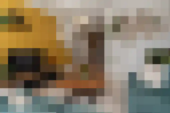 Sportterreinstraat 25 Wildervank thumbnail 5