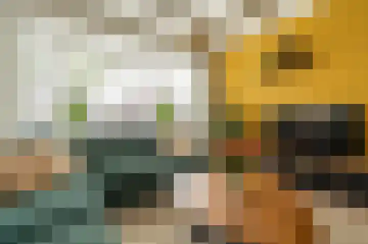 Sportterreinstraat 25 Wildervank thumbnail 6