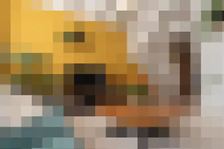 Sportterreinstraat 25 Wildervank thumbnail 7