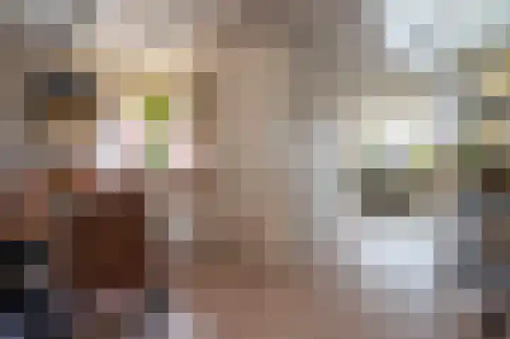 Sportterreinstraat 25 Wildervank thumbnail 8