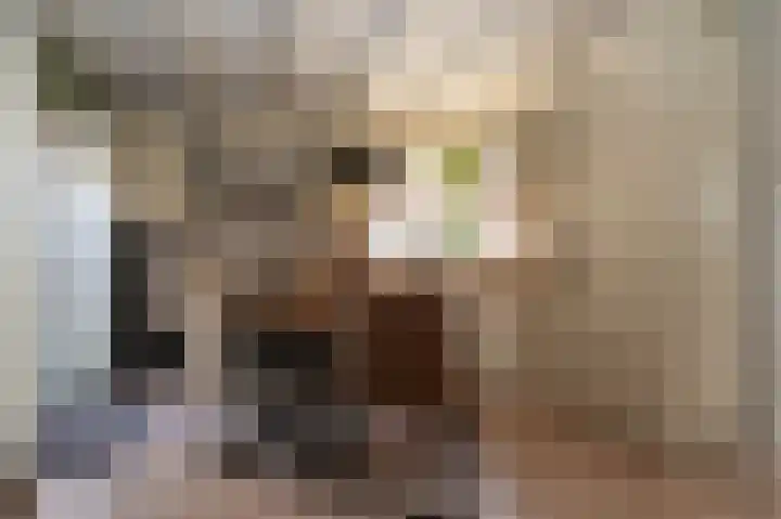 Sportterreinstraat 25 Wildervank thumbnail 9
