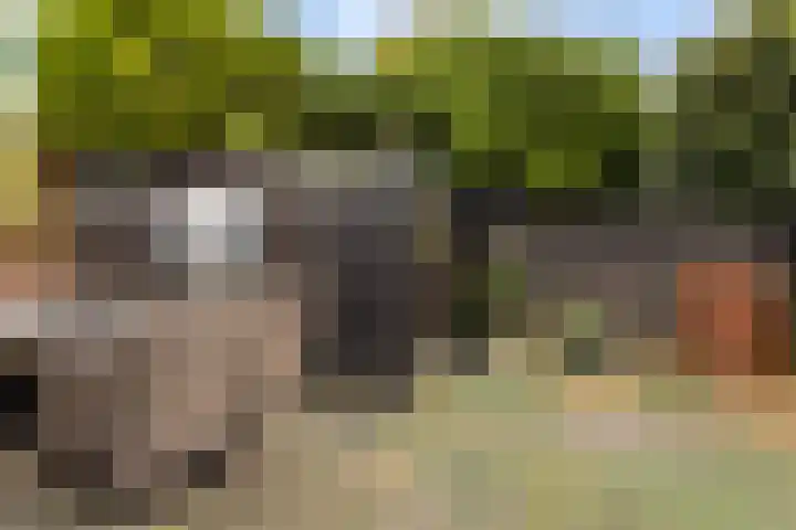 Sportterreinstraat 45 Hoogezand thumbnail 35