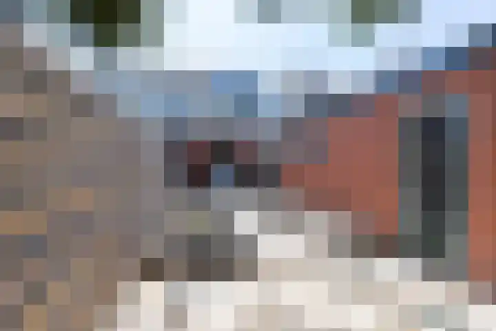 Sportterreinstraat 51 Hoogezand thumbnail 9