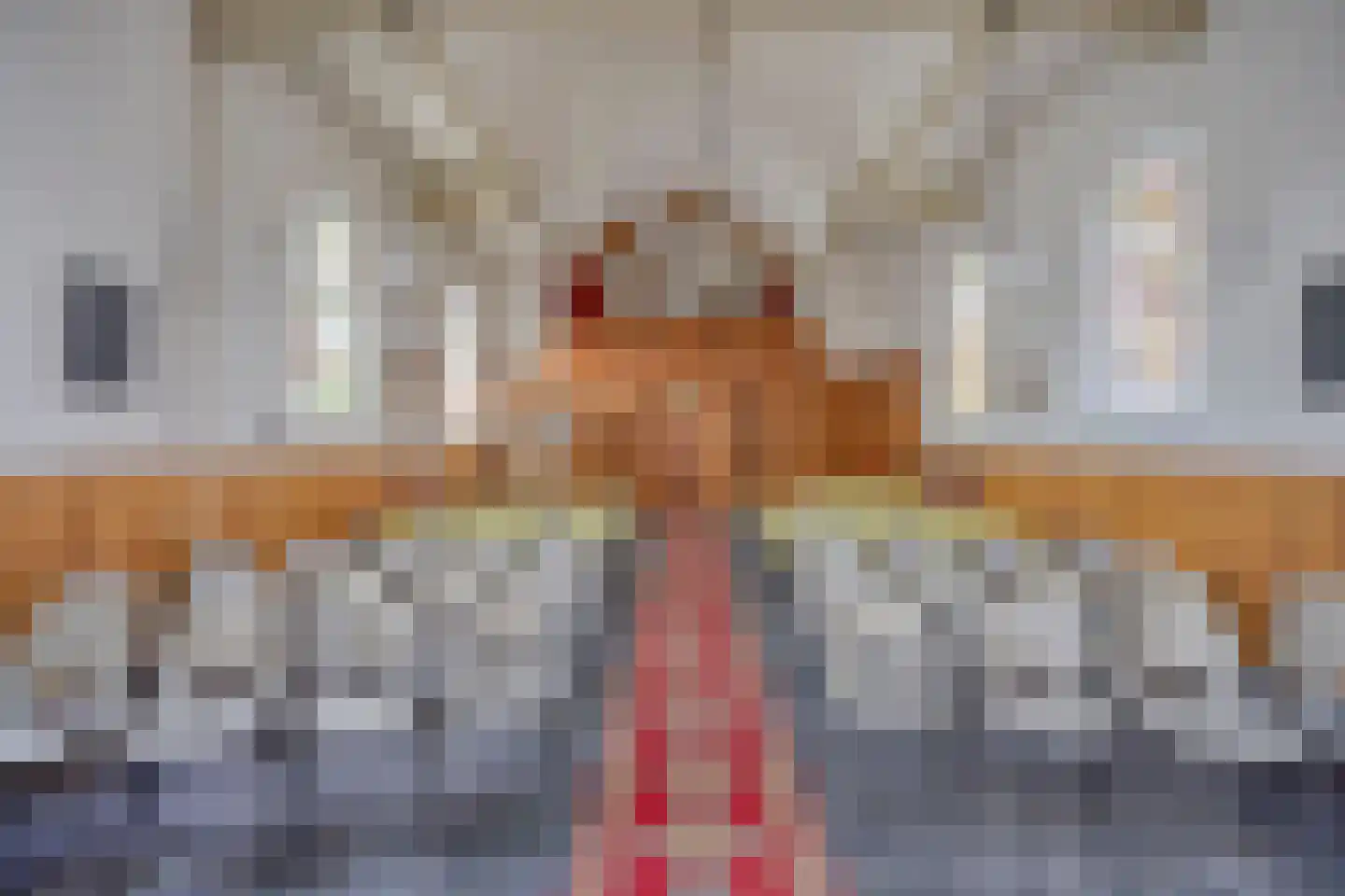 Sportterreinstraat 6 Wildervank thumbnail 10