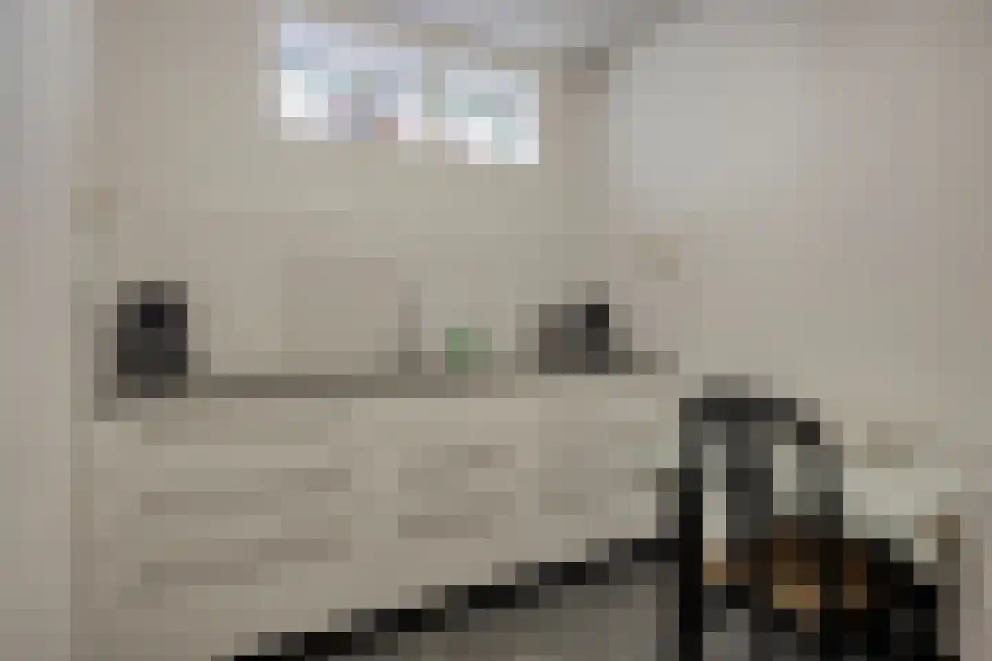 Sportterreinstraat 6 Wildervank thumbnail 18