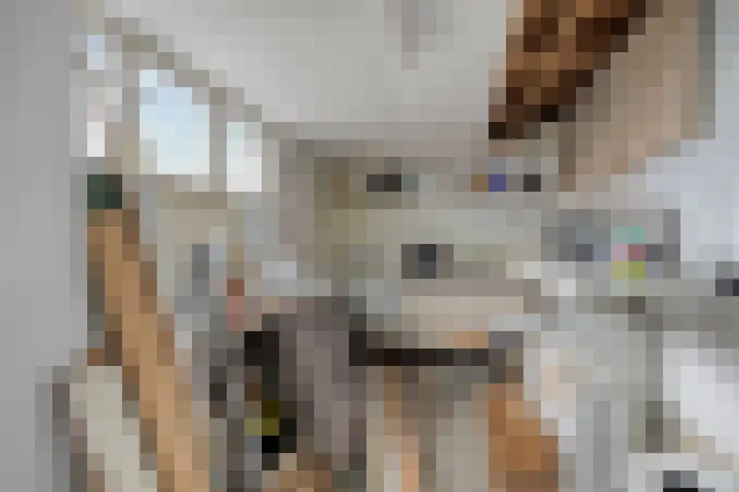 Sportterreinstraat 6 Wildervank thumbnail 22