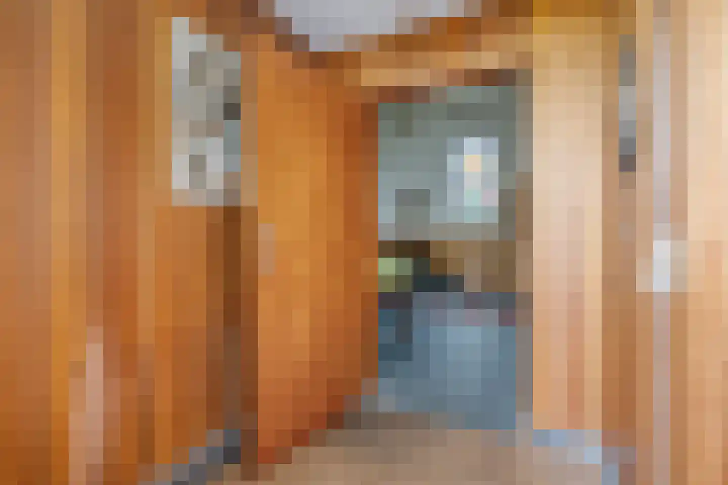 Sportterreinstraat 6 Wildervank thumbnail 7
