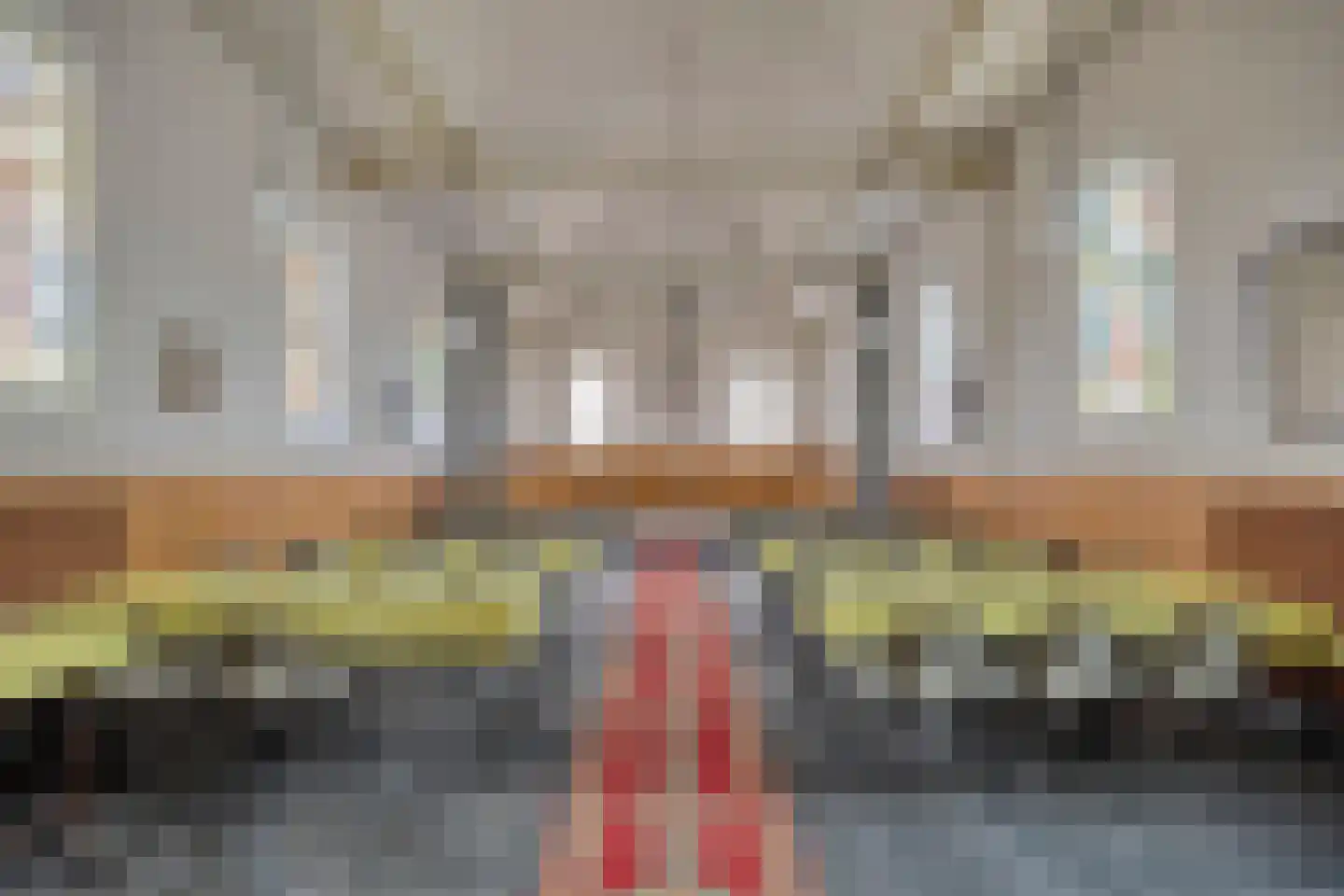 Sportterreinstraat 6 Wildervank thumbnail 9