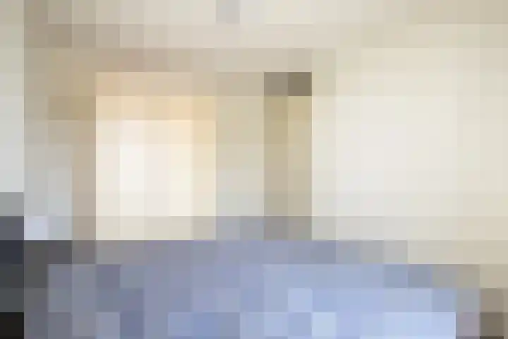 Sportveldstraat 16 Linne thumbnail 11