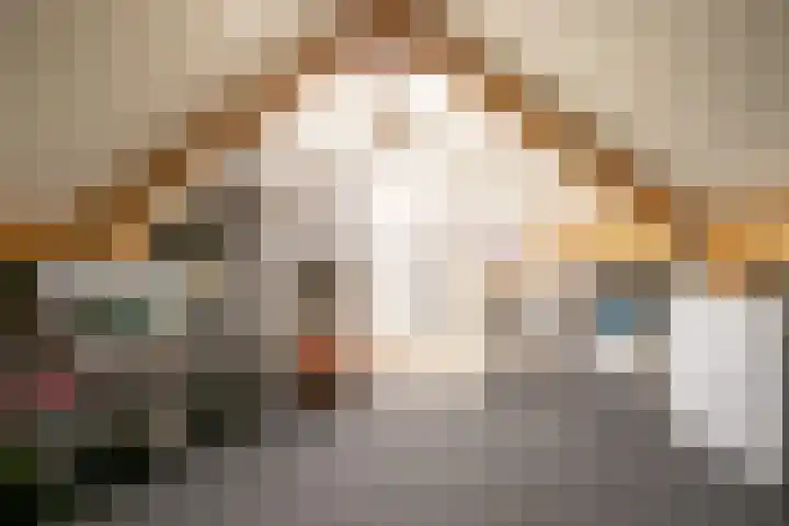 Sportveldstraat 16 Linne thumbnail 17