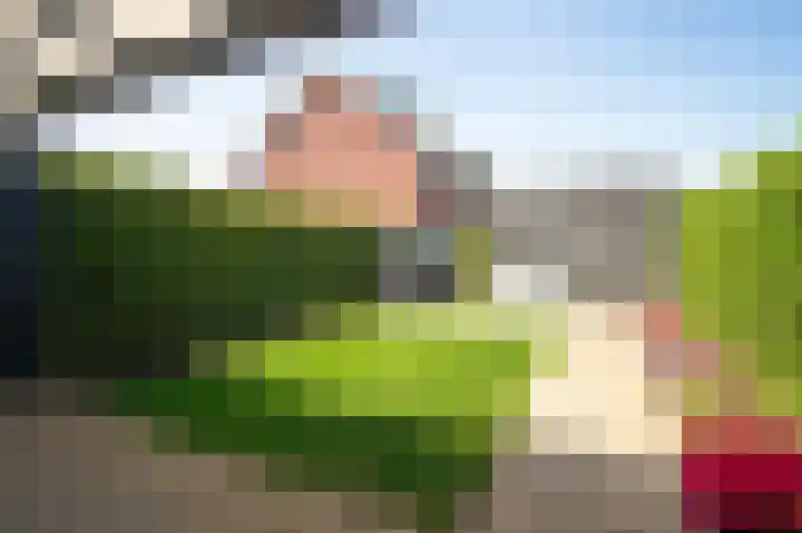 Sportveldstraat 16 Linne thumbnail 19