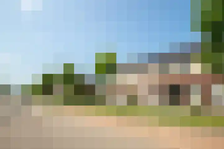 Sportveldstraat 16 Linne thumbnail 23