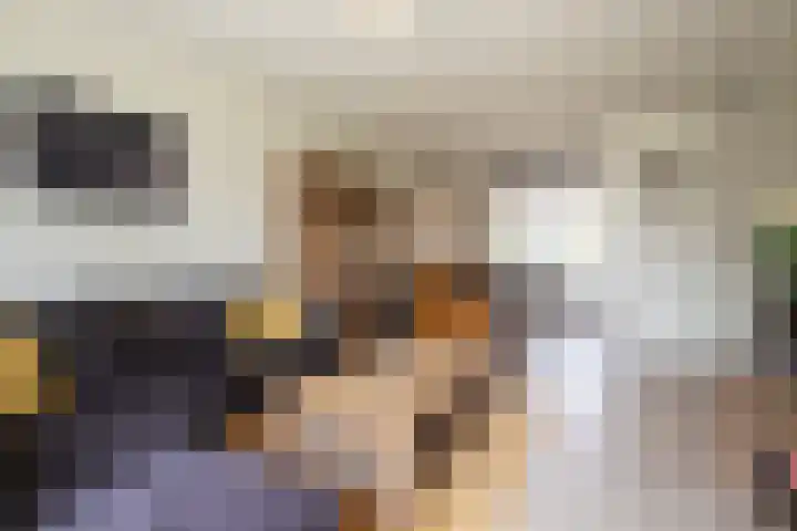 Sportveldstraat 16 Linne thumbnail 4