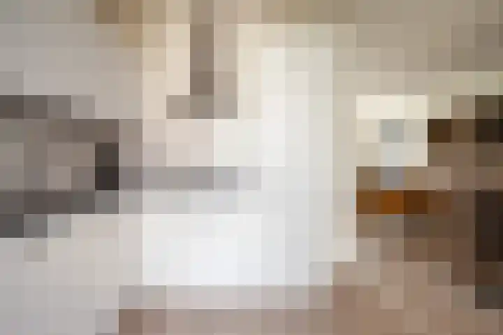 Sportveldstraat 16 Linne thumbnail 8