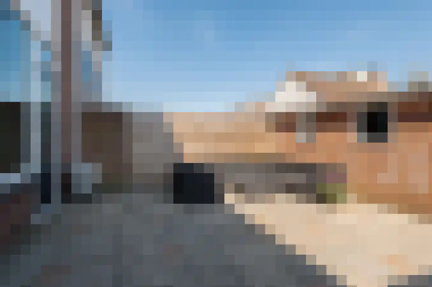 Sportveldstraat 24 Beusichem thumbnail 21