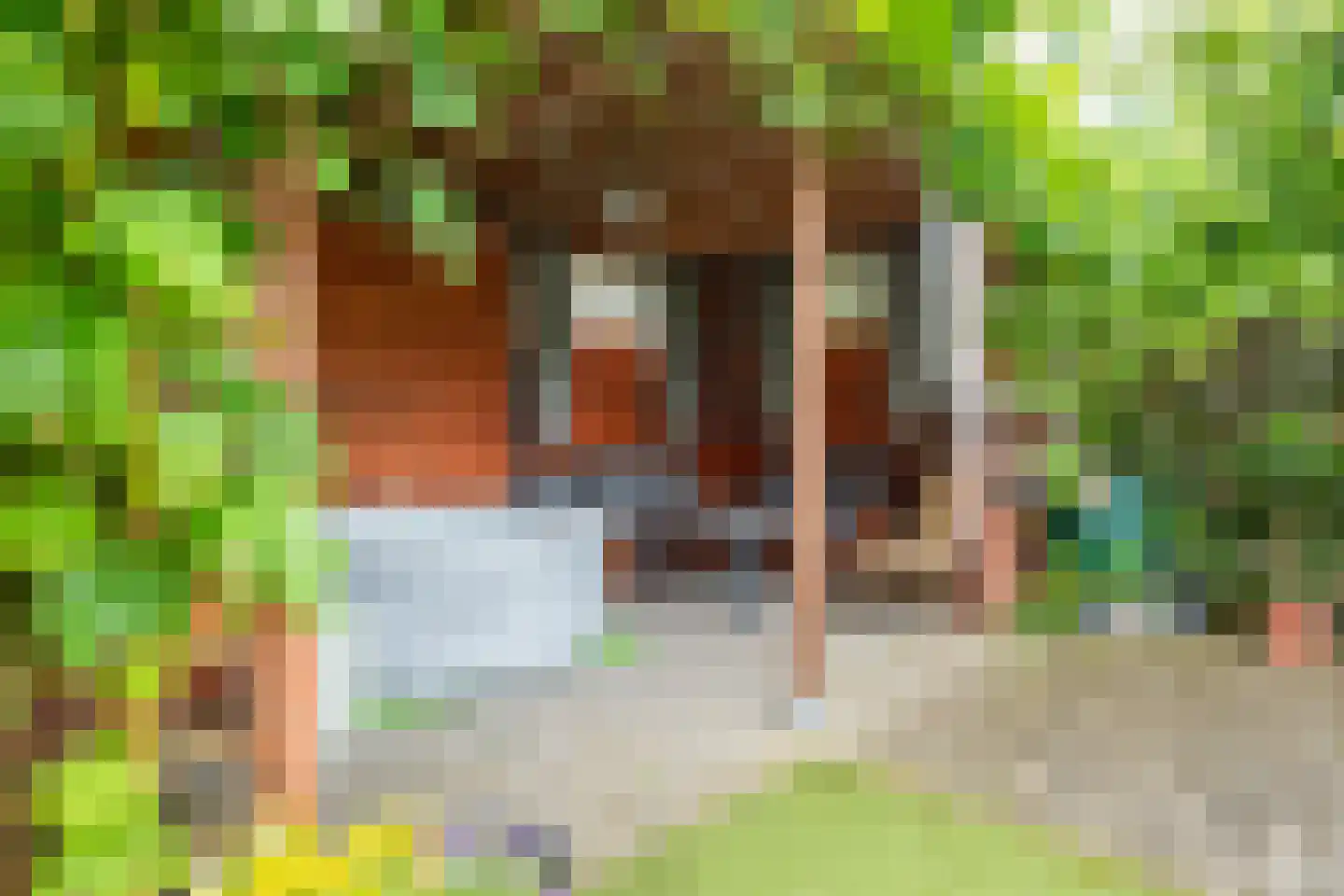 Sportveldstraat 28 Linne thumbnail 5