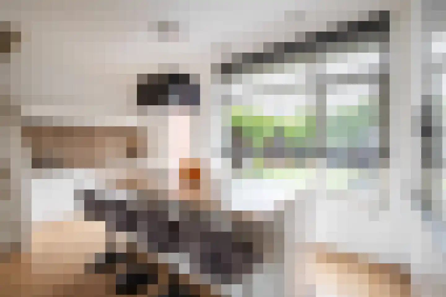 Sportveldstraat 28 Linne thumbnail 6
