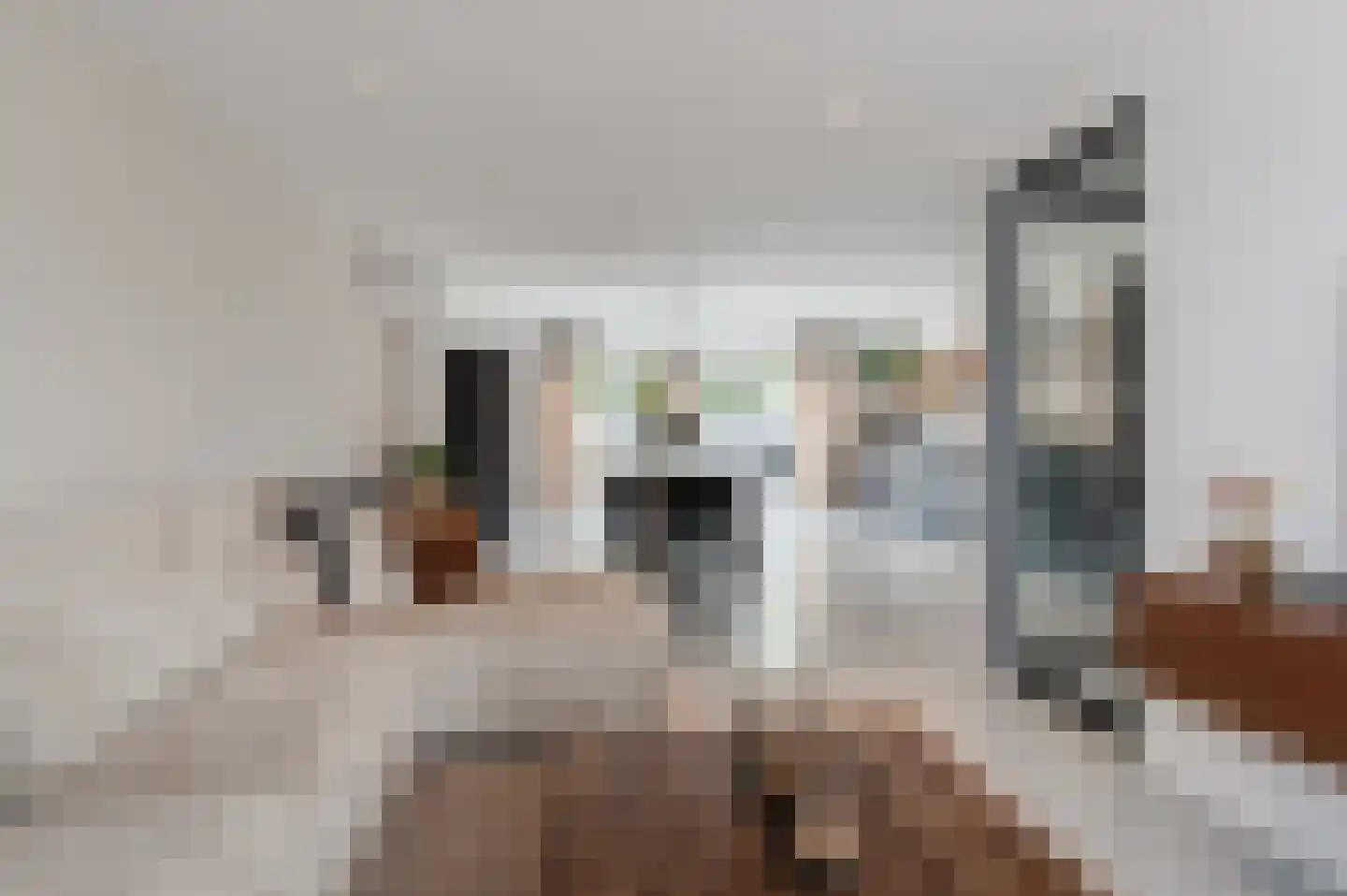 Sportveldstraat 37 Beusichem thumbnail 17