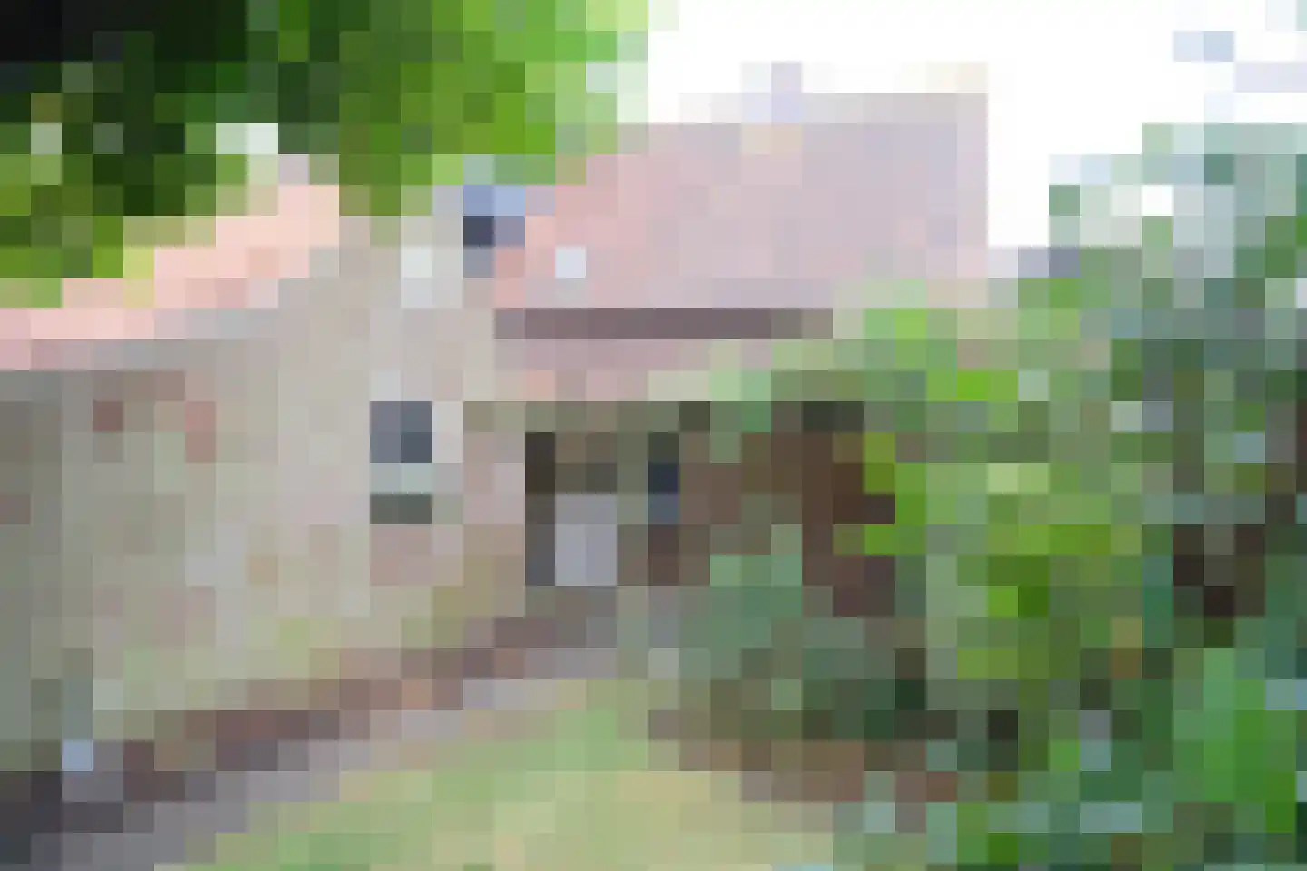 Sportveldstraat 46 Beusichem thumbnail 10