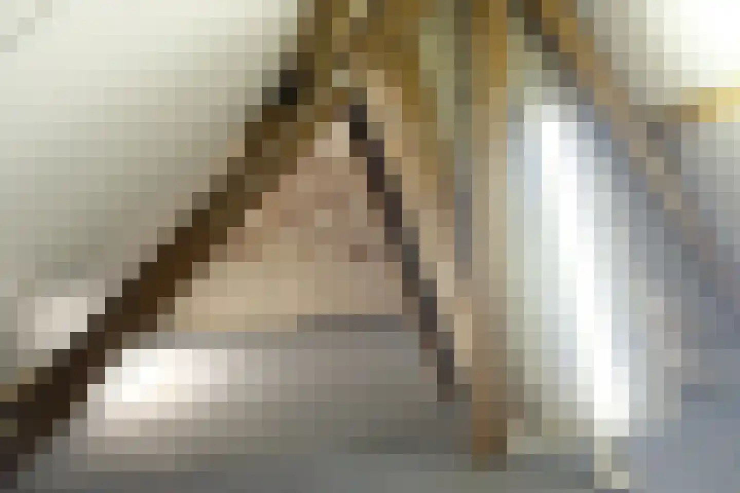 Sportveldstraat 46 Beusichem thumbnail 9