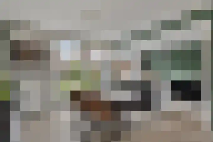 Sportveldstraat 7 Beusichem thumbnail 11