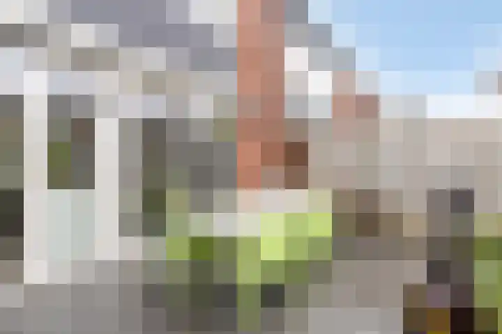 Sportveldstraat 7 Beusichem thumbnail 29