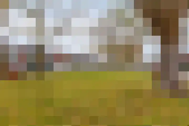 Sportveldstraat 7 Beusichem thumbnail 33