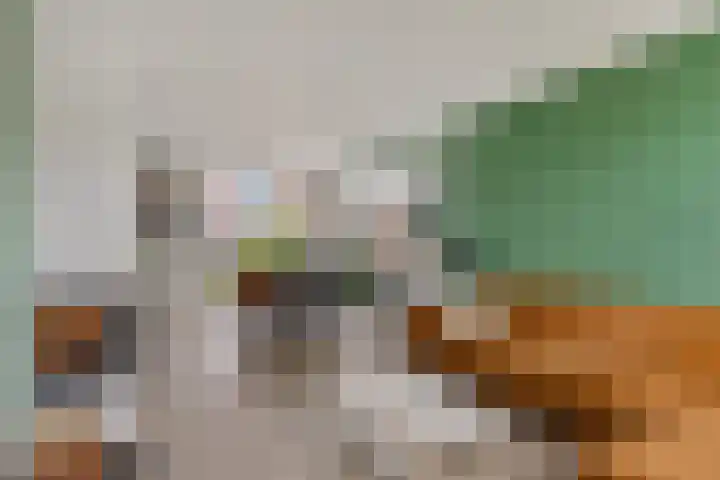 Sportveldstraat 7 Beusichem thumbnail 9