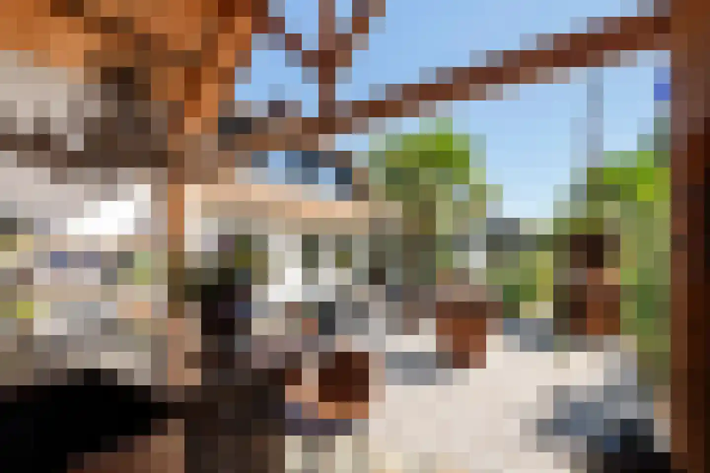 Sportveldstraat 77 Beusichem thumbnail 15