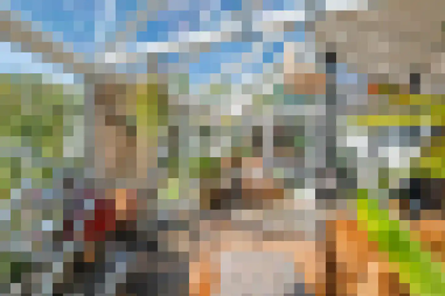 Sportveldstraat 77 Beusichem thumbnail 30